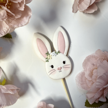 Bunny lolly wit